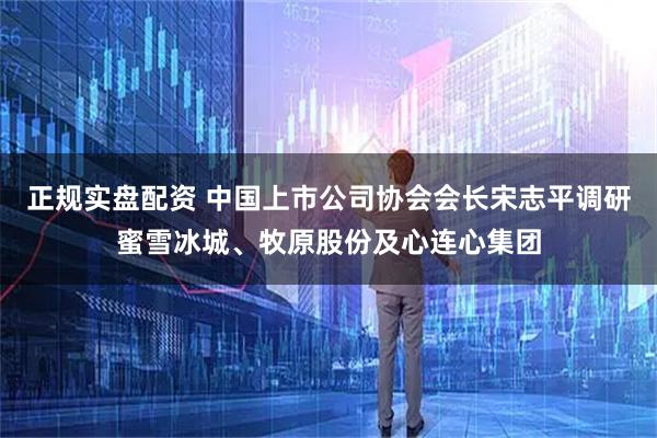 正规实盘配资 中国上市公司协会会长宋志平调研蜜雪冰城、牧原股份及心连心集团