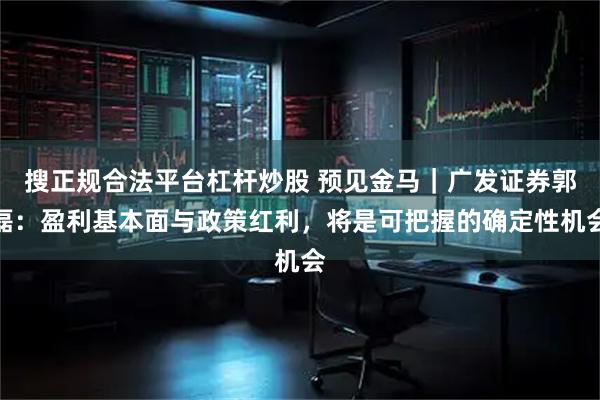搜正规合法平台杠杆炒股 预见金马｜广发证券郭磊：盈利基本面与政策红利，将是可把握的确定性机会